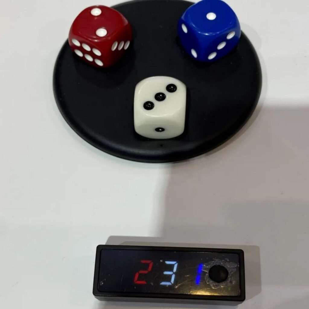 Dice Cheating Device Remote Control Dice Trick Dice for Sale
